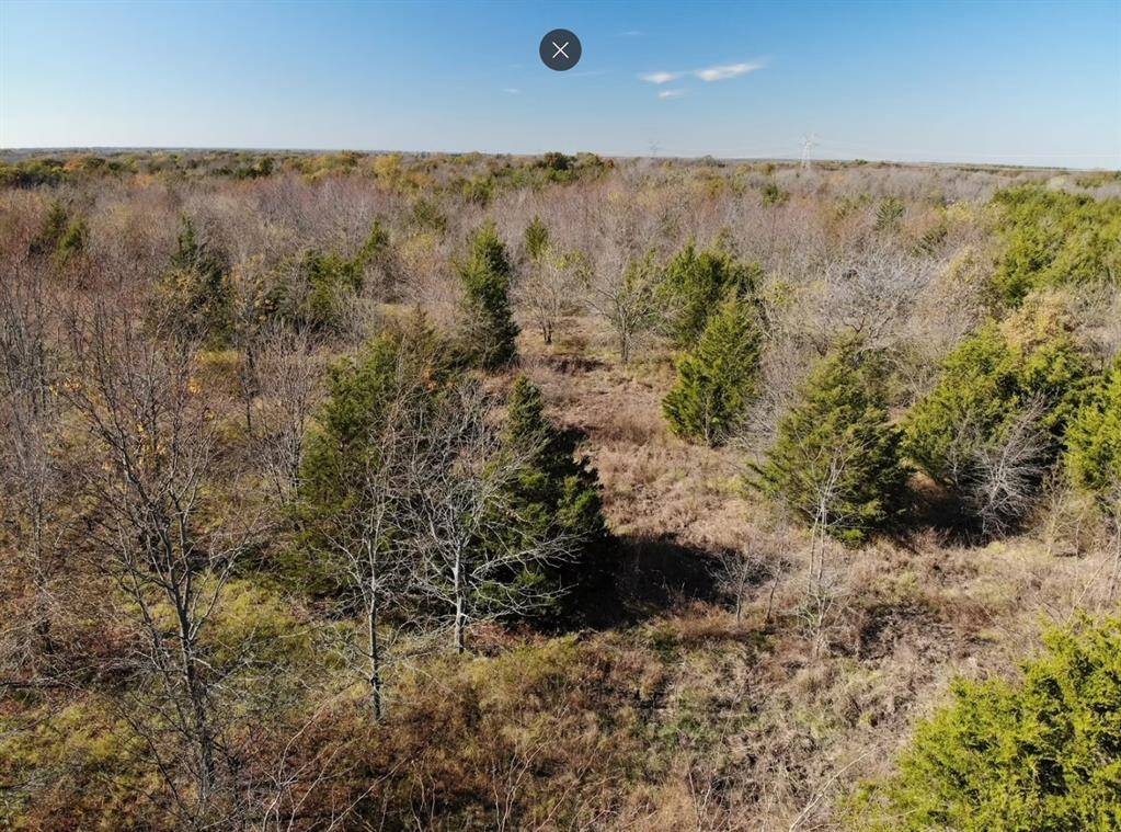 Tract 16 County Road 2960, Honey Grove, TX 75446