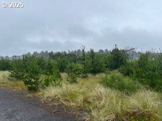 806 318TH PL, Ocean Park, WA 98640