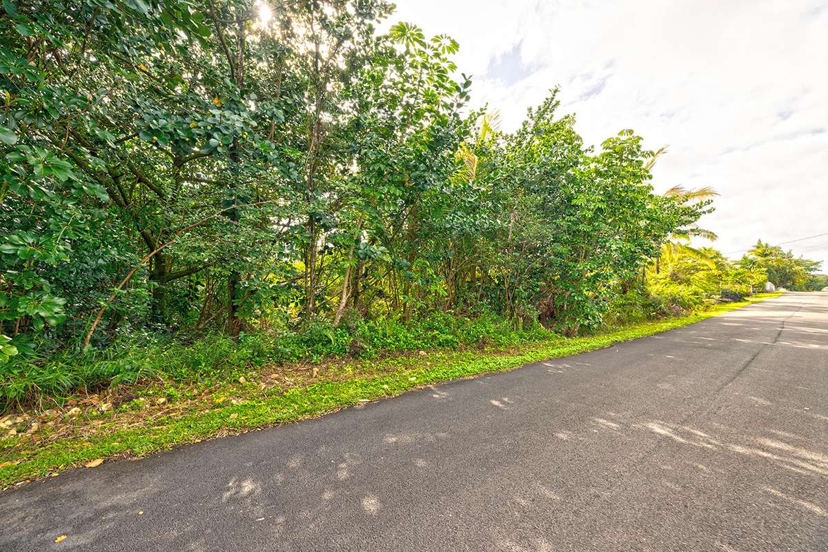 15-1660 1ST AVE, Keaau, HI 96749