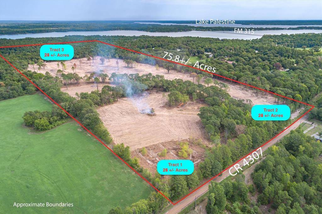 Tract 3 - TBD County Road 4307, Larue, TX 75770