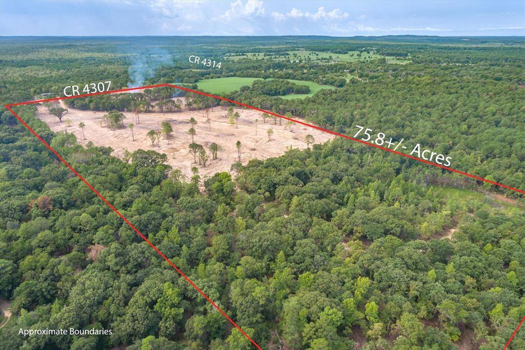 Tract 3 - TBD County Road 4307, Larue, TX 75770