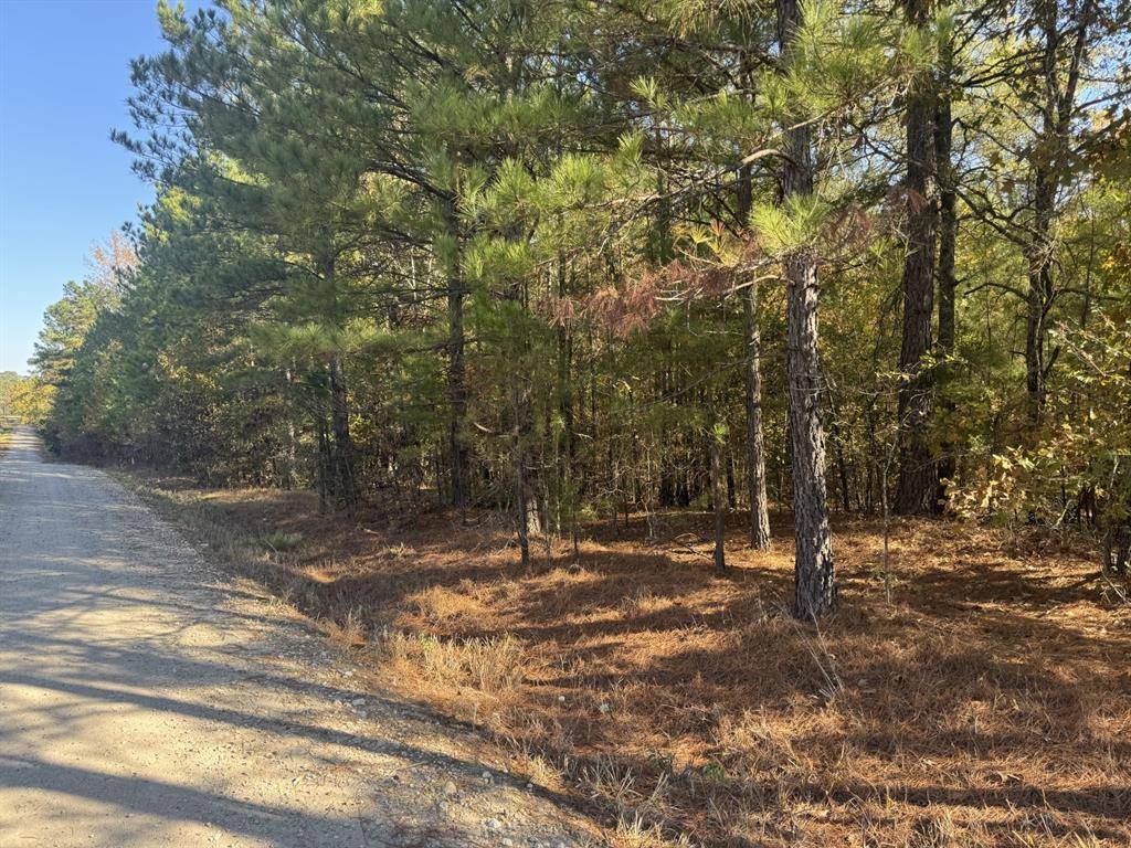 TBD CR 2451, Clarksville, TX 75426