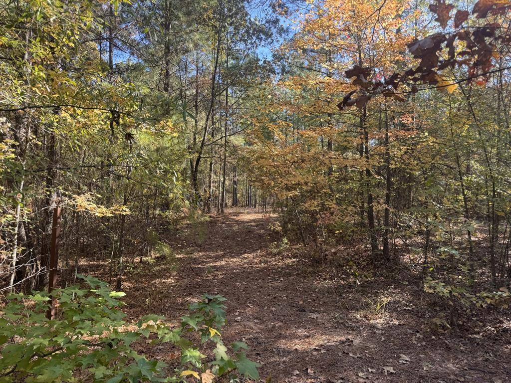 TBD CR 2451, Clarksville, TX 75426