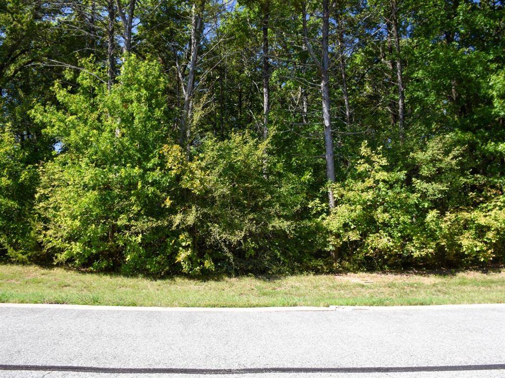 TBD Annadale Lane, Gordonville, TX 76245