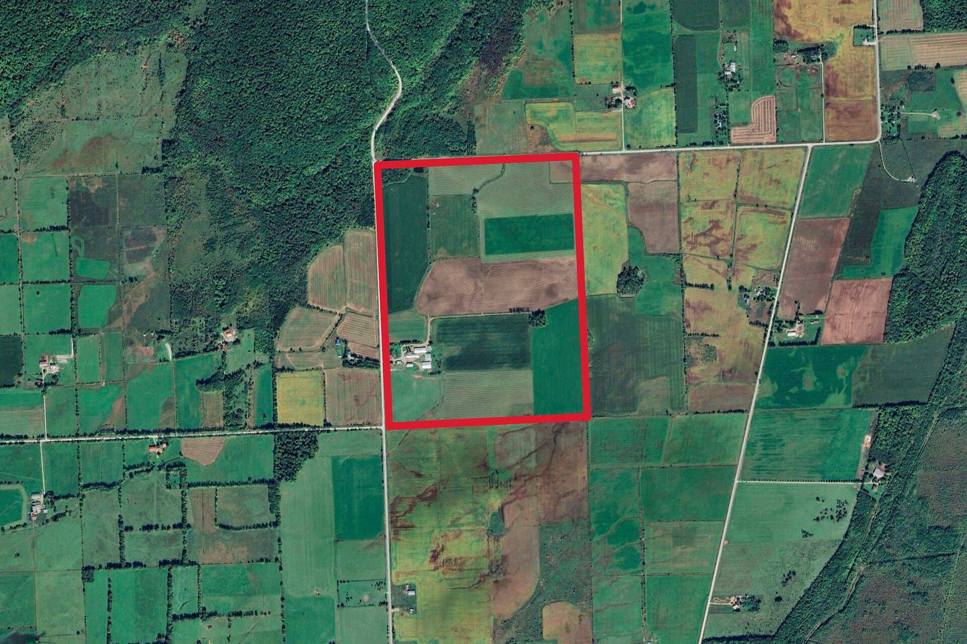 310135 Kemble Rock RD, Georgian Bluffs, ON N0H 1S0