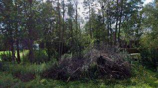 36 Beaverdale CRES, Georgina, ON L0E 1N0