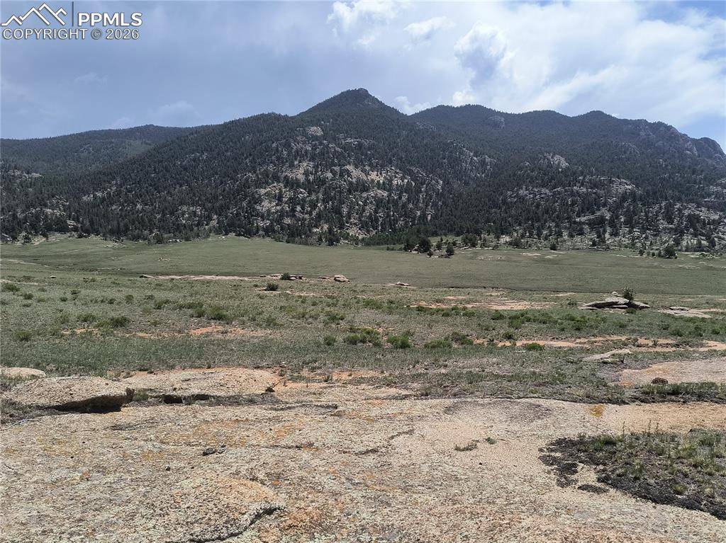 2674 County Road 333, Hartsel, CO 80449