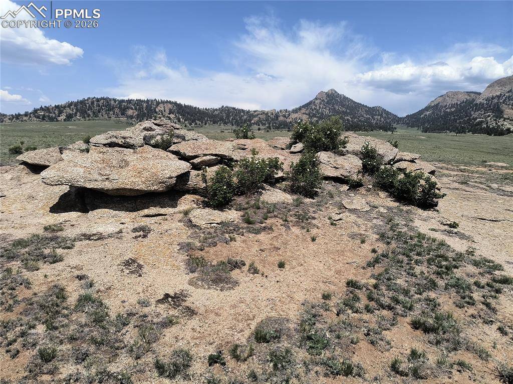 2674 County Road 333, Hartsel, CO 80449