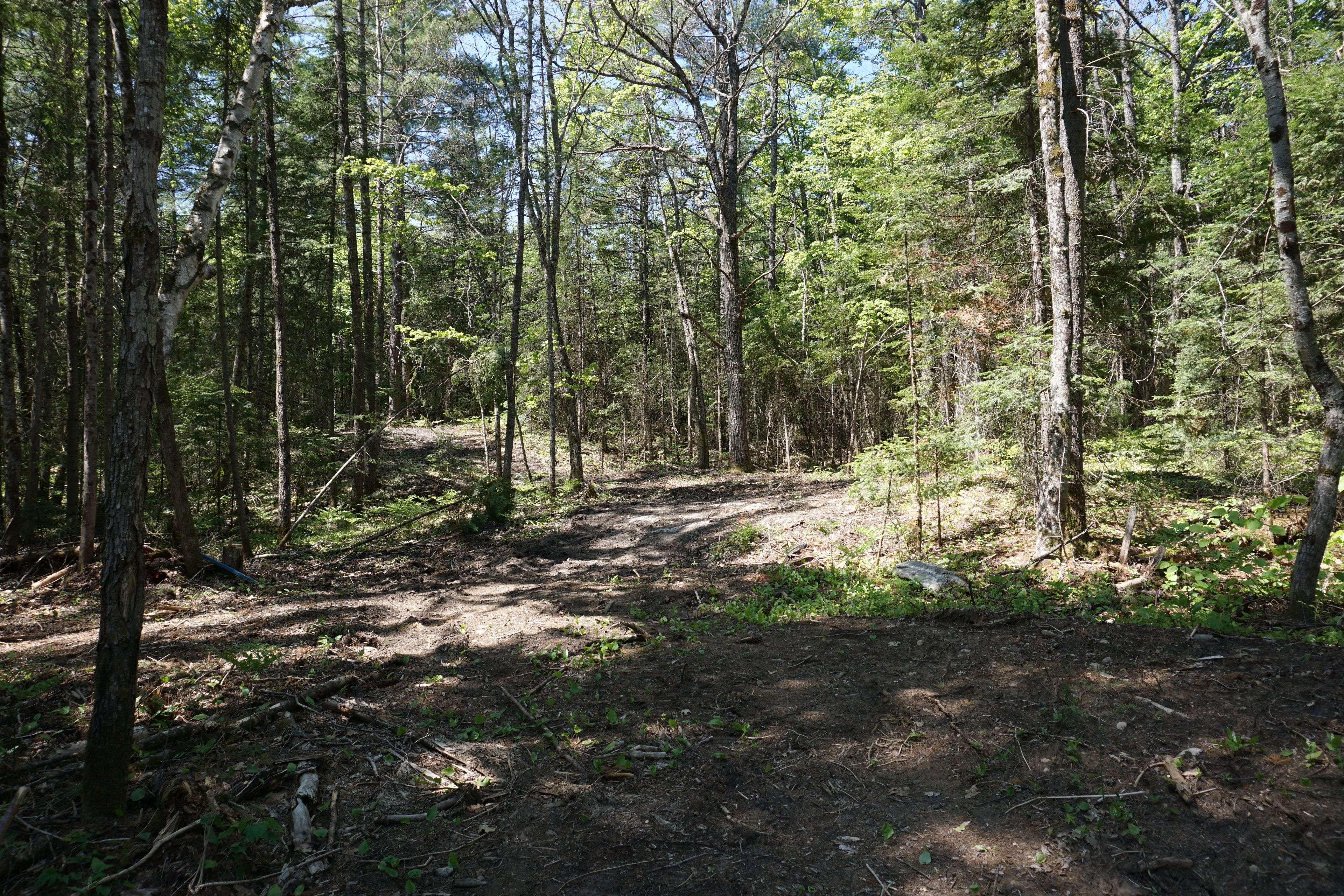 Lot 1 Fairy Falls RD NW, Lake Of Bays, ON P0B 1A0