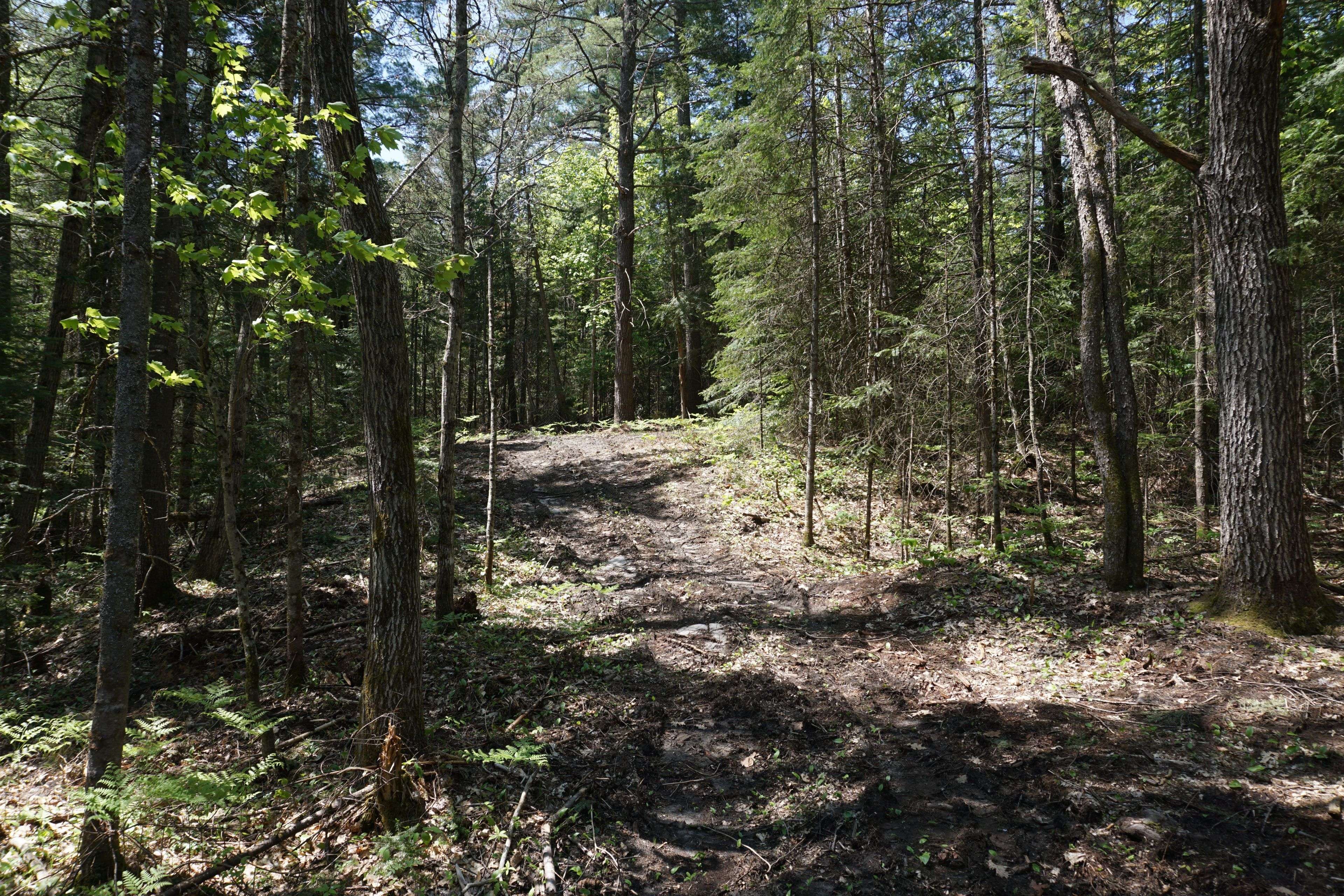 Lot 1 Fairy Falls RD NW, Lake Of Bays, ON P0B 1A0