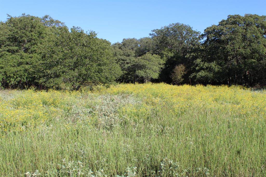 Lot 2 TBD County Road 2798, Alvord, TX 76225