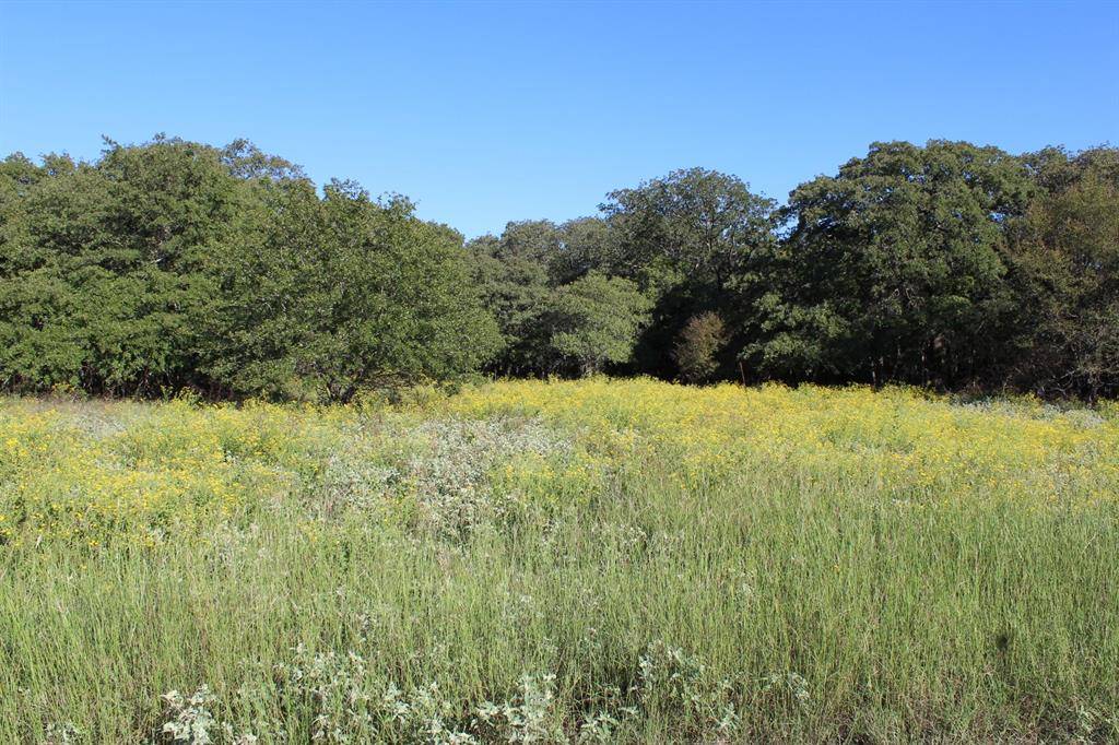 Lot 2 TBD County Road 2798, Alvord, TX 76225