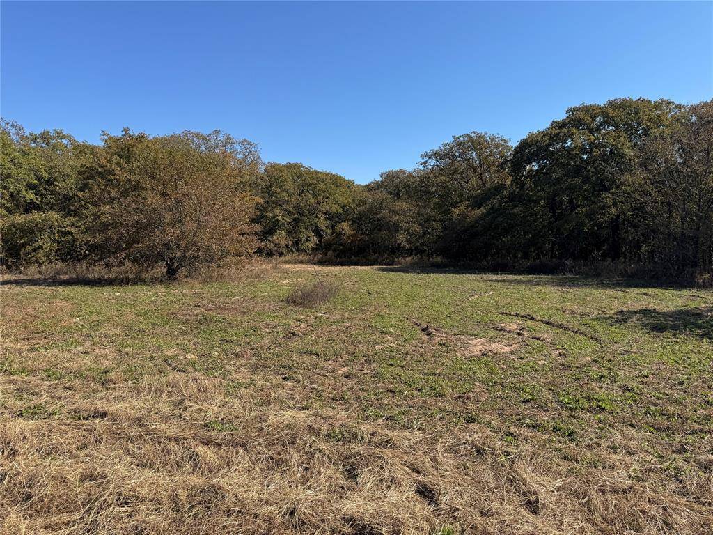 Lot 2 TBD County Road 2798, Alvord, TX 76225