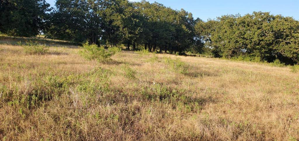 956 Cr-1990, Chico, TX 76431