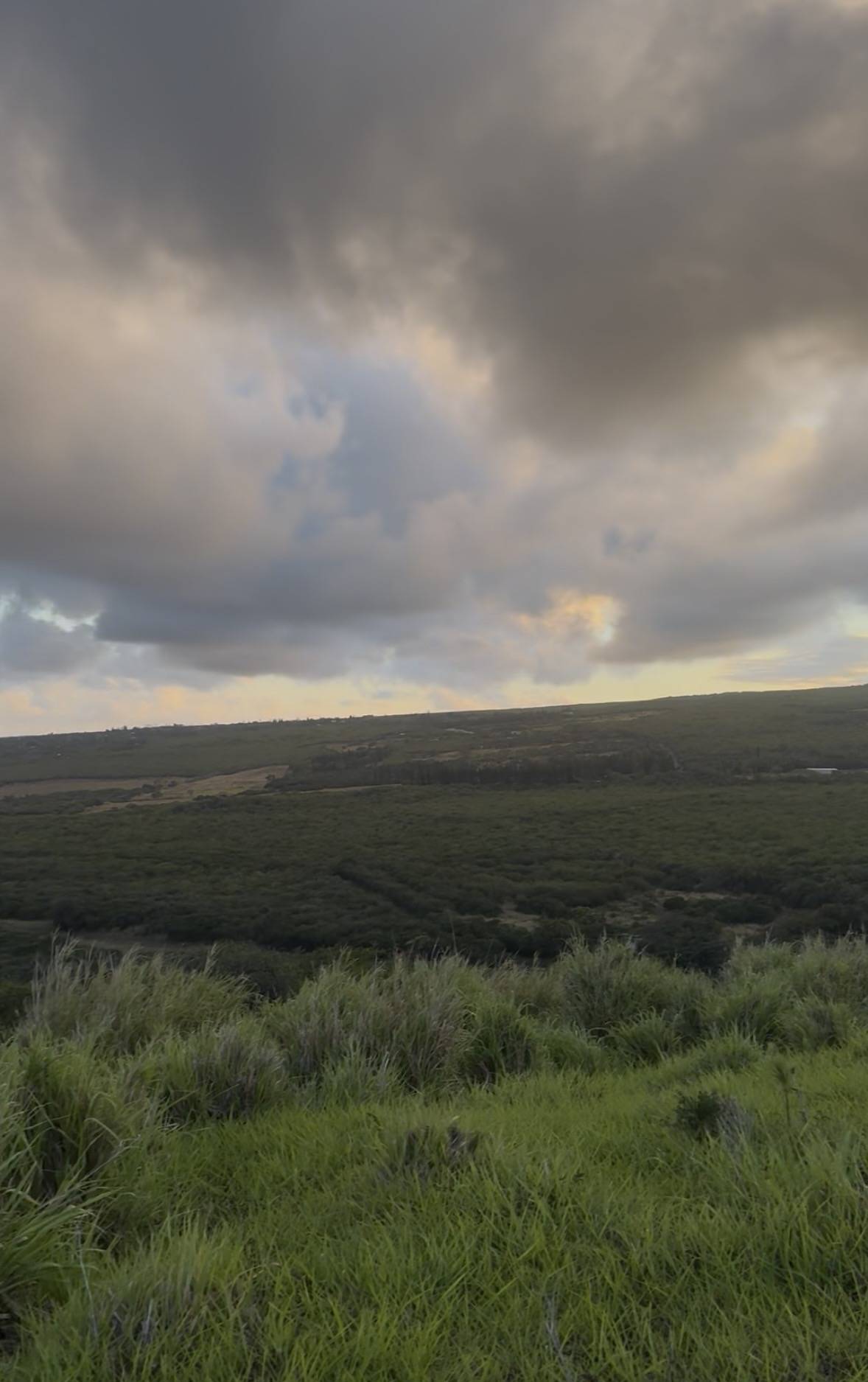 Naalehu, HI 96772