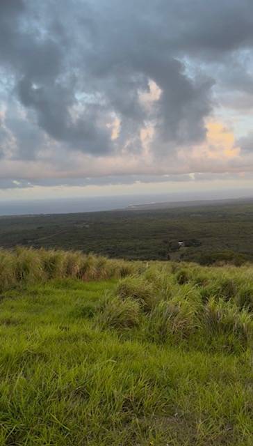 Naalehu, HI 96772