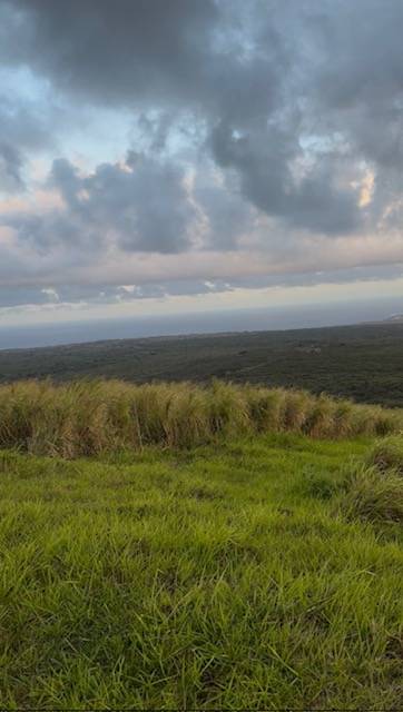 Naalehu, HI 96772