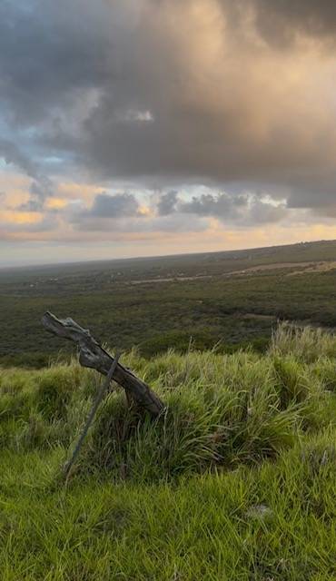 Naalehu, HI 96772