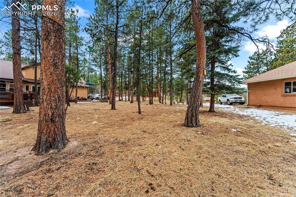 109 Flagstick DR, Woodland Park, CO 80863