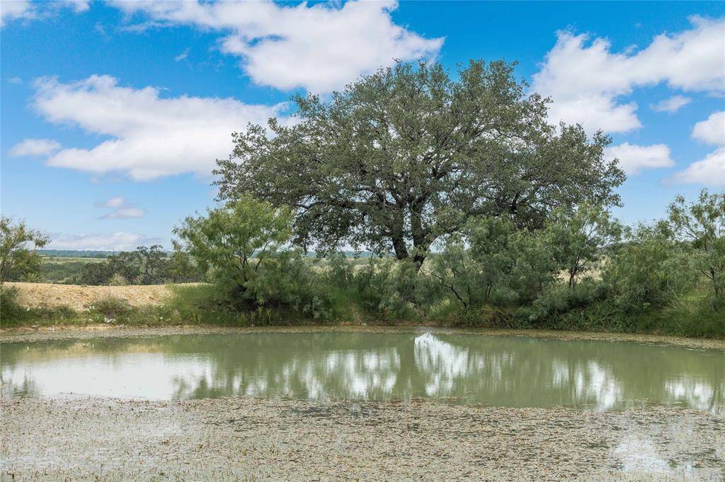 332 Ledge Stone, Blanket, TX 67432