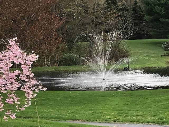 1532 34th ST, Allegan Twp, MI 49010