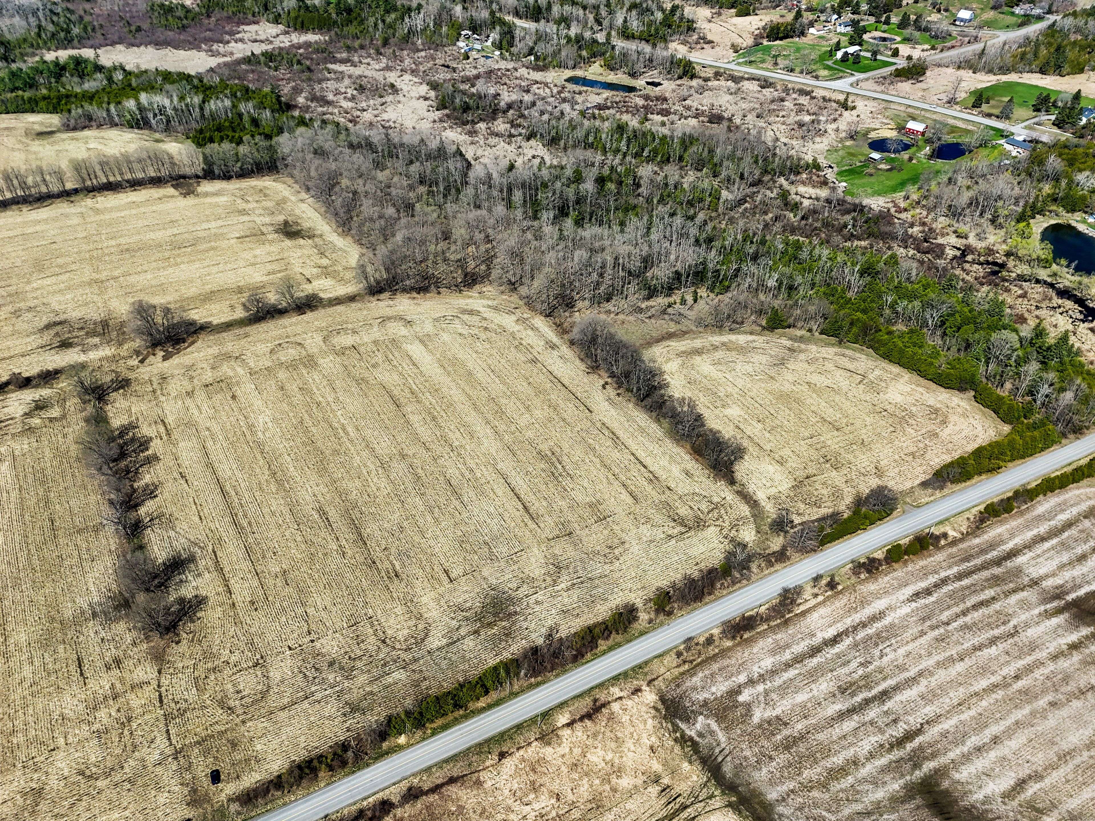 PT LT 16 -17 McDonald RD, Alnwick/haldimand, ON K0K 2X0