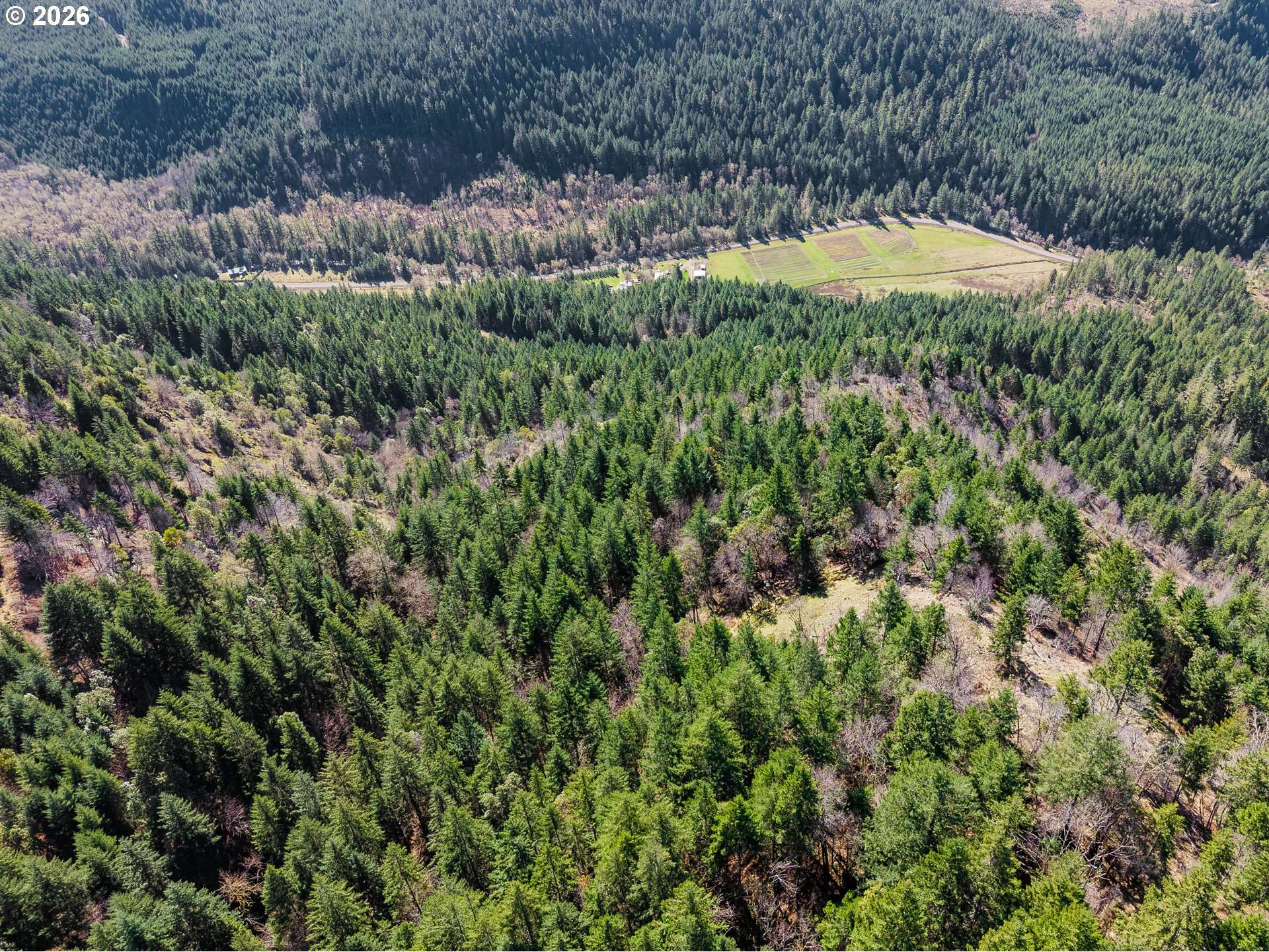 14536 LITTLE RIVER RD, Glide, OR 97443