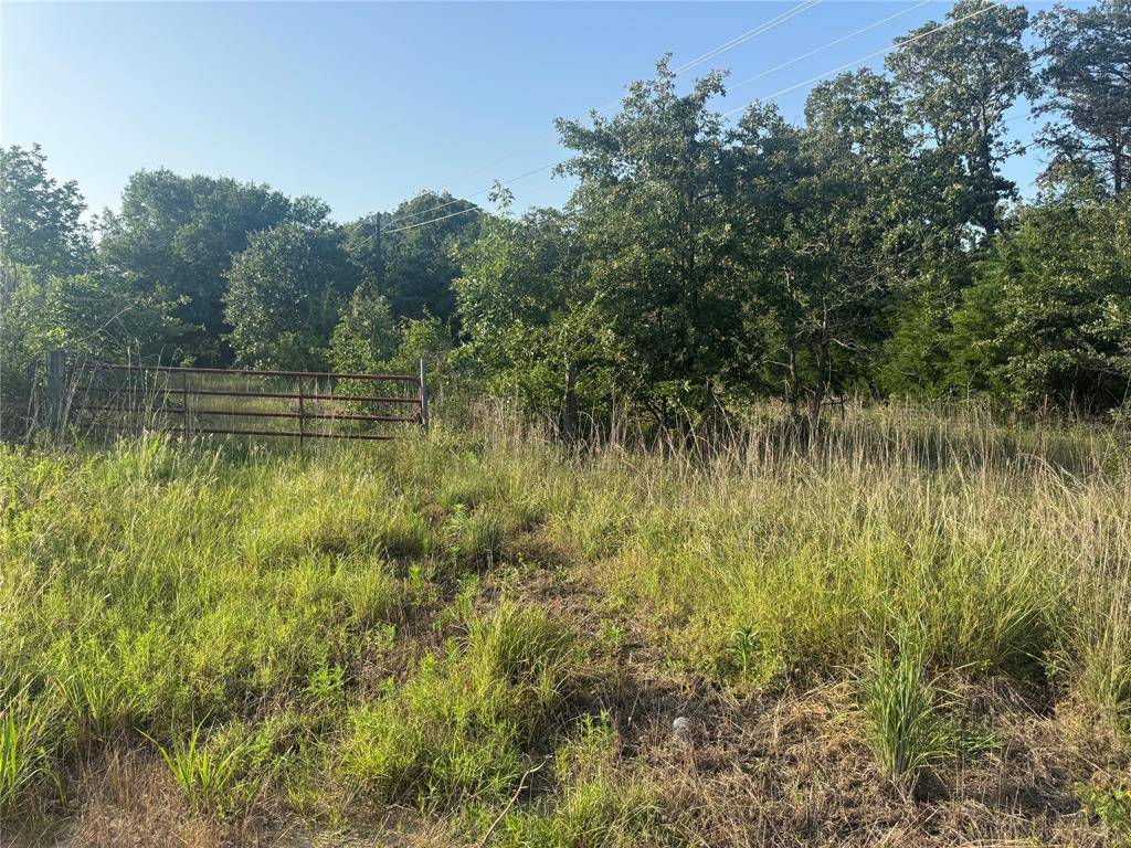 335 FM 80, Teague, TX 75860