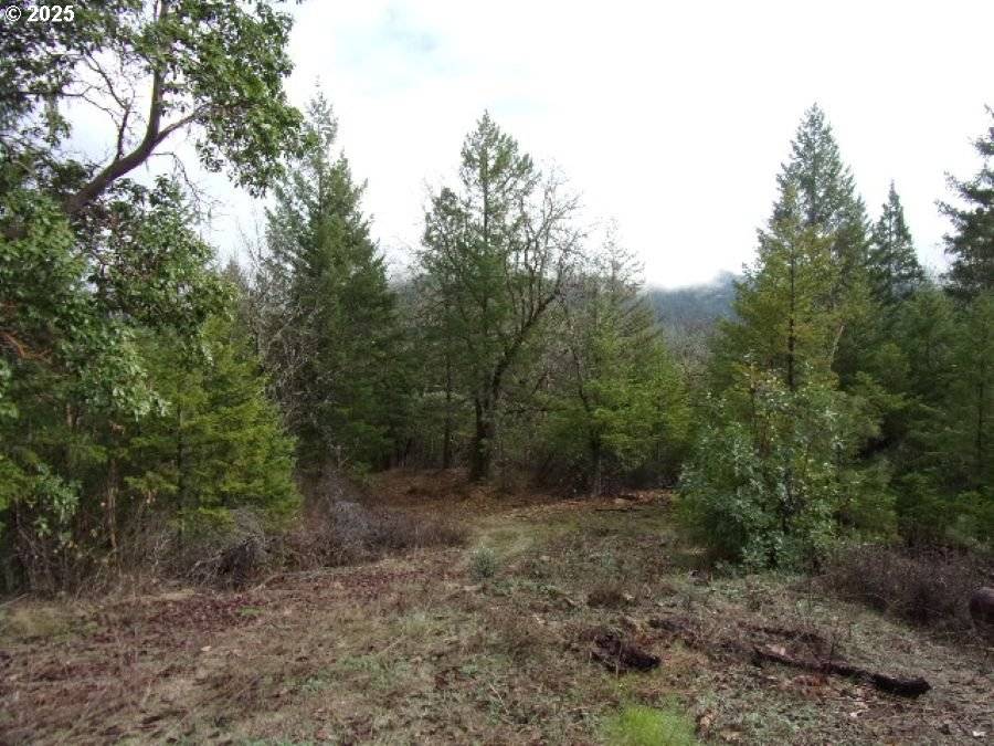 18515 DITCH CREEK RD, Rogue River, OR 97537