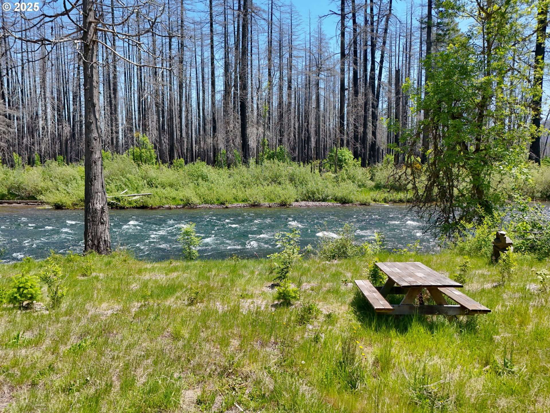 52984 MCKENZIE HWY, Blue River, OR 97413