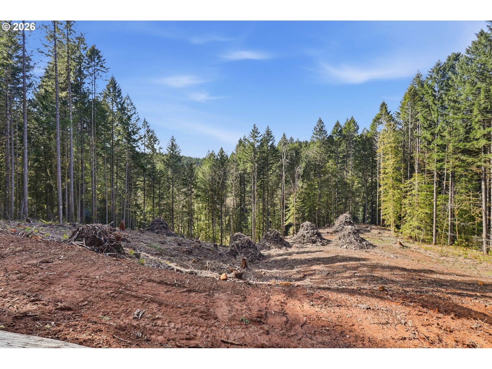 0 NW Green Mountain Rd. #1, Banks, OR 97106