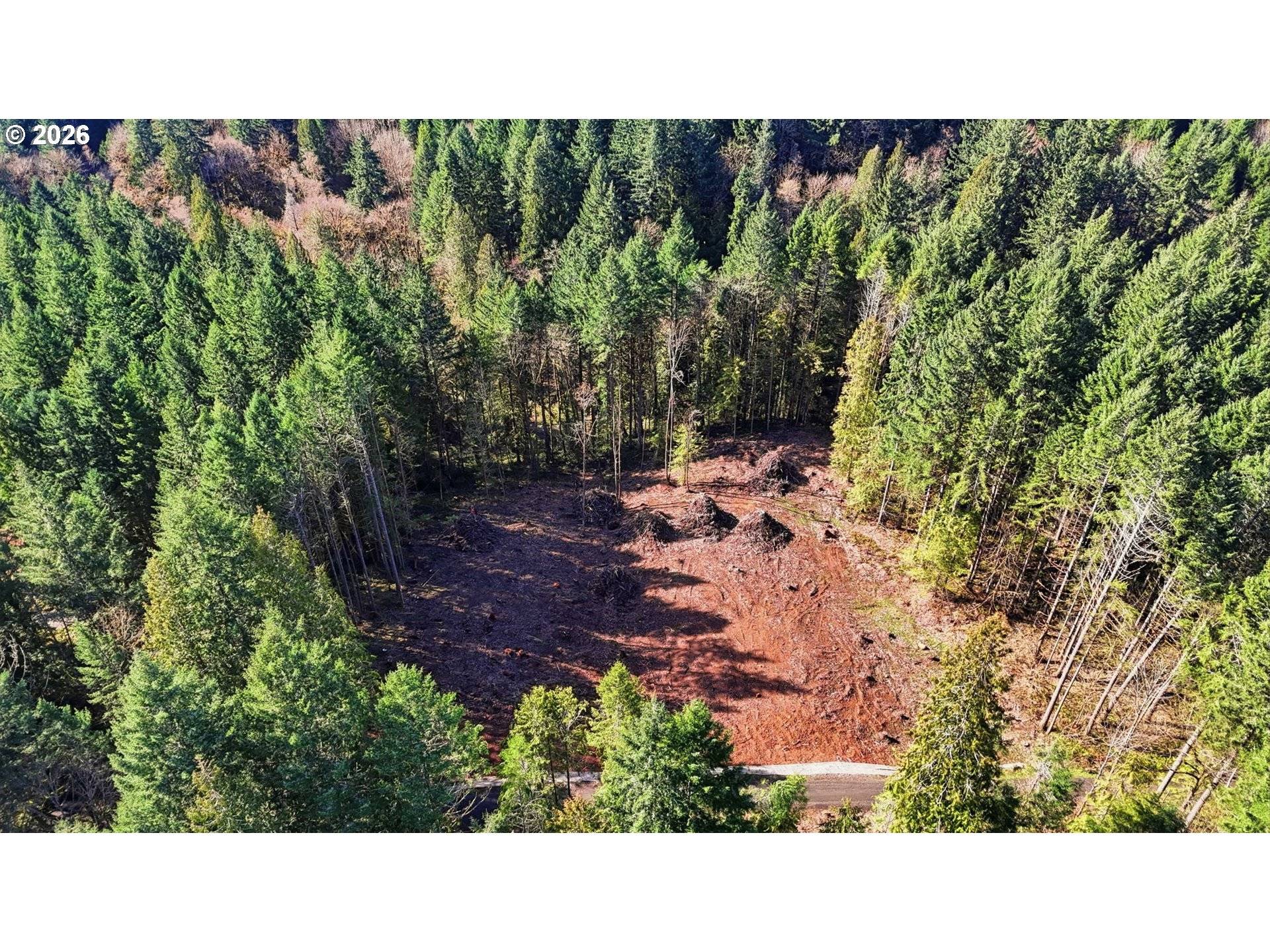 0 NW Green Mountain Rd. #1, Banks, OR 97106