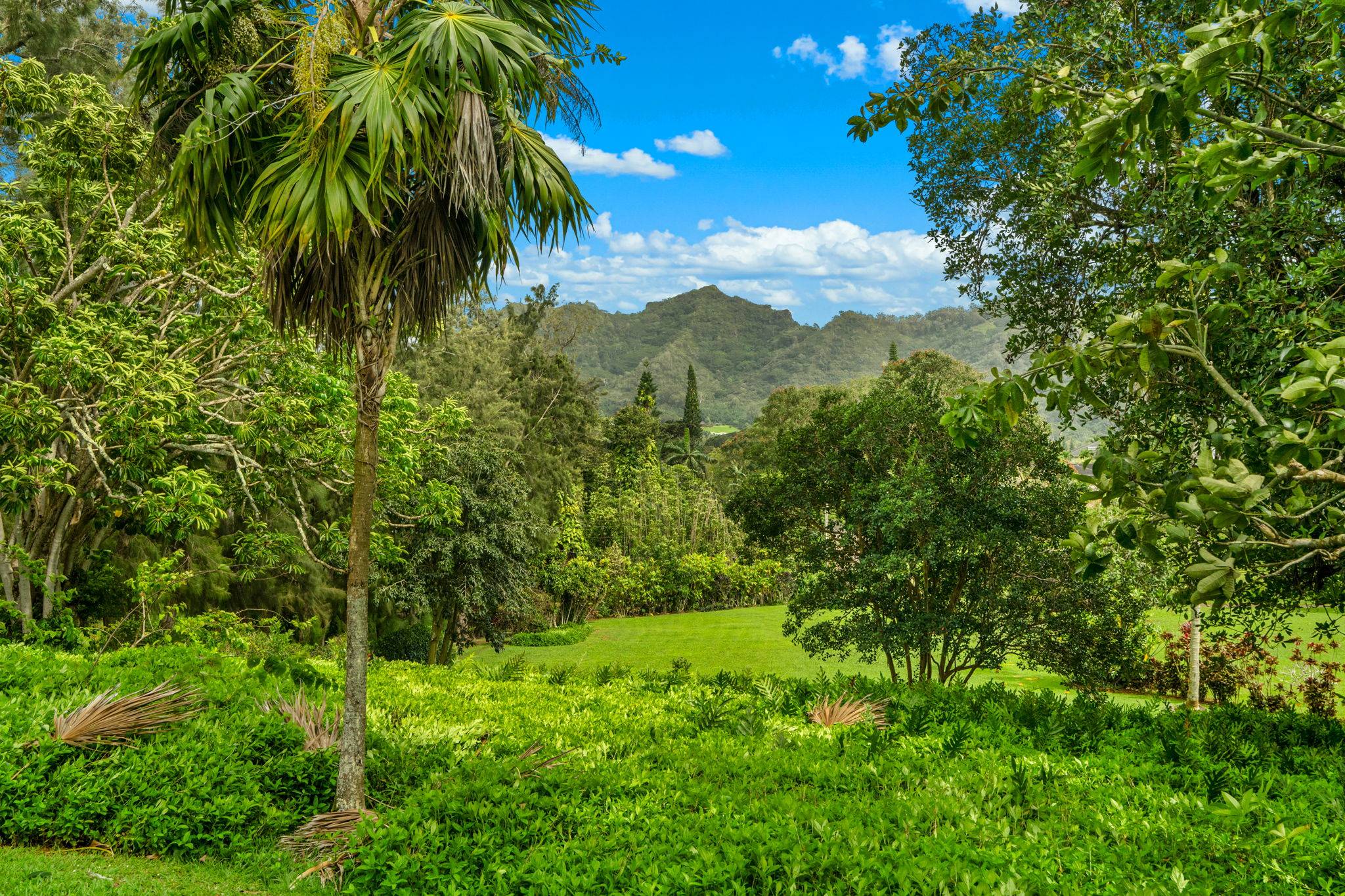 597 PUUOPAE RD, Kapaa, HI 96746