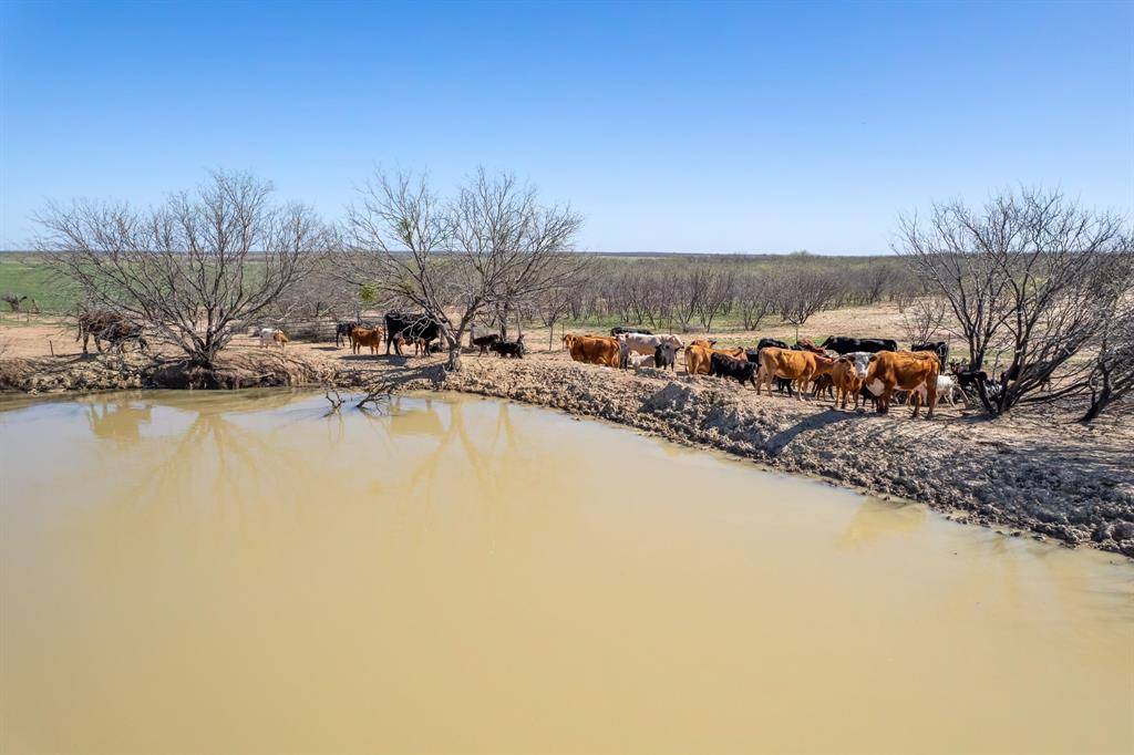 TBD Cr 300, Coleman, TX 76834