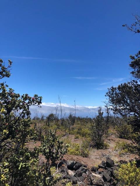 PINEAPPLE PKWY, Ocean View, HI 96737