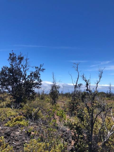 PINEAPPLE PKWY, Ocean View, HI 96737