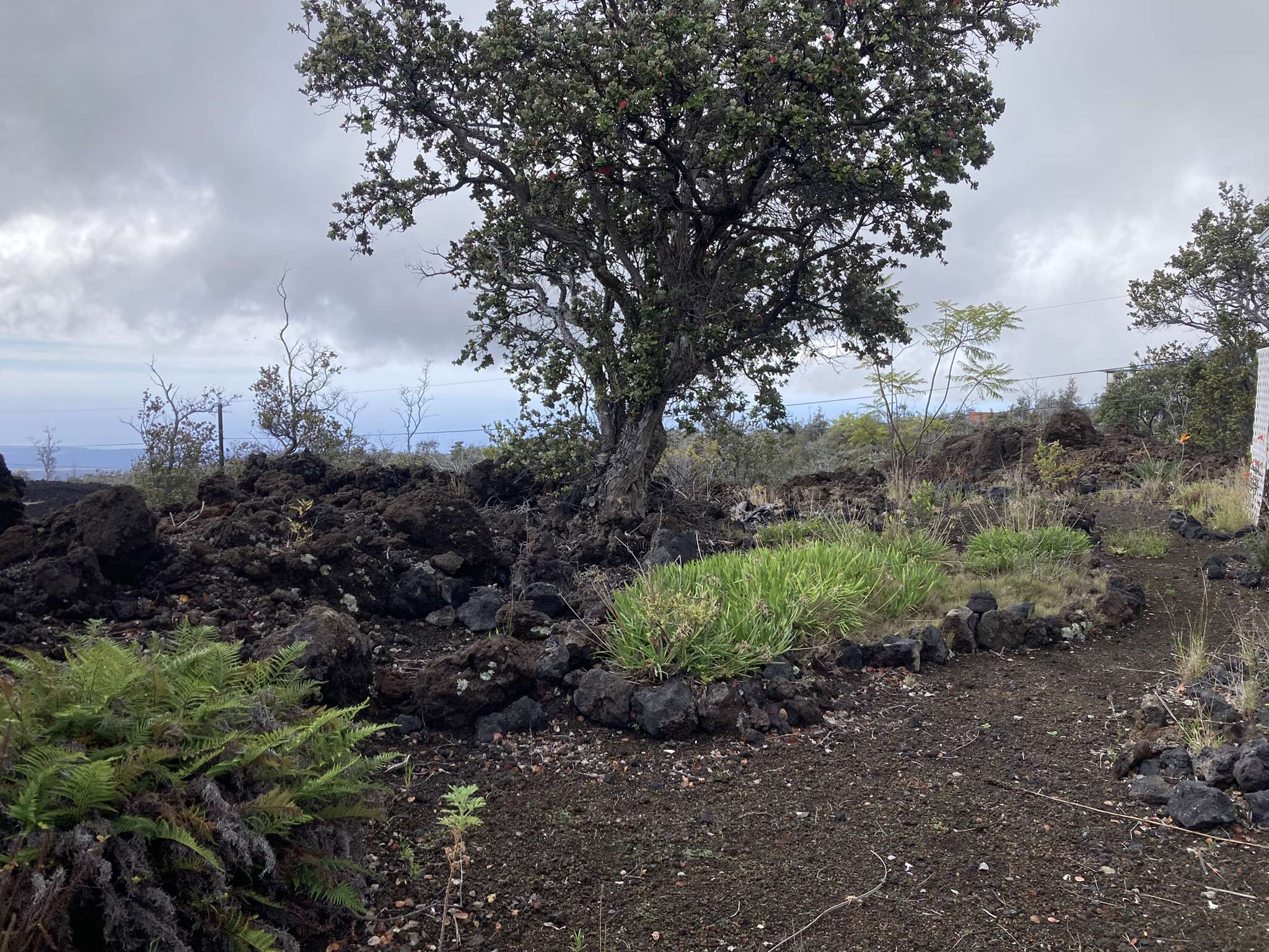 92-8270 PINEAPPLE PKWY, Ocean View, HI 96737