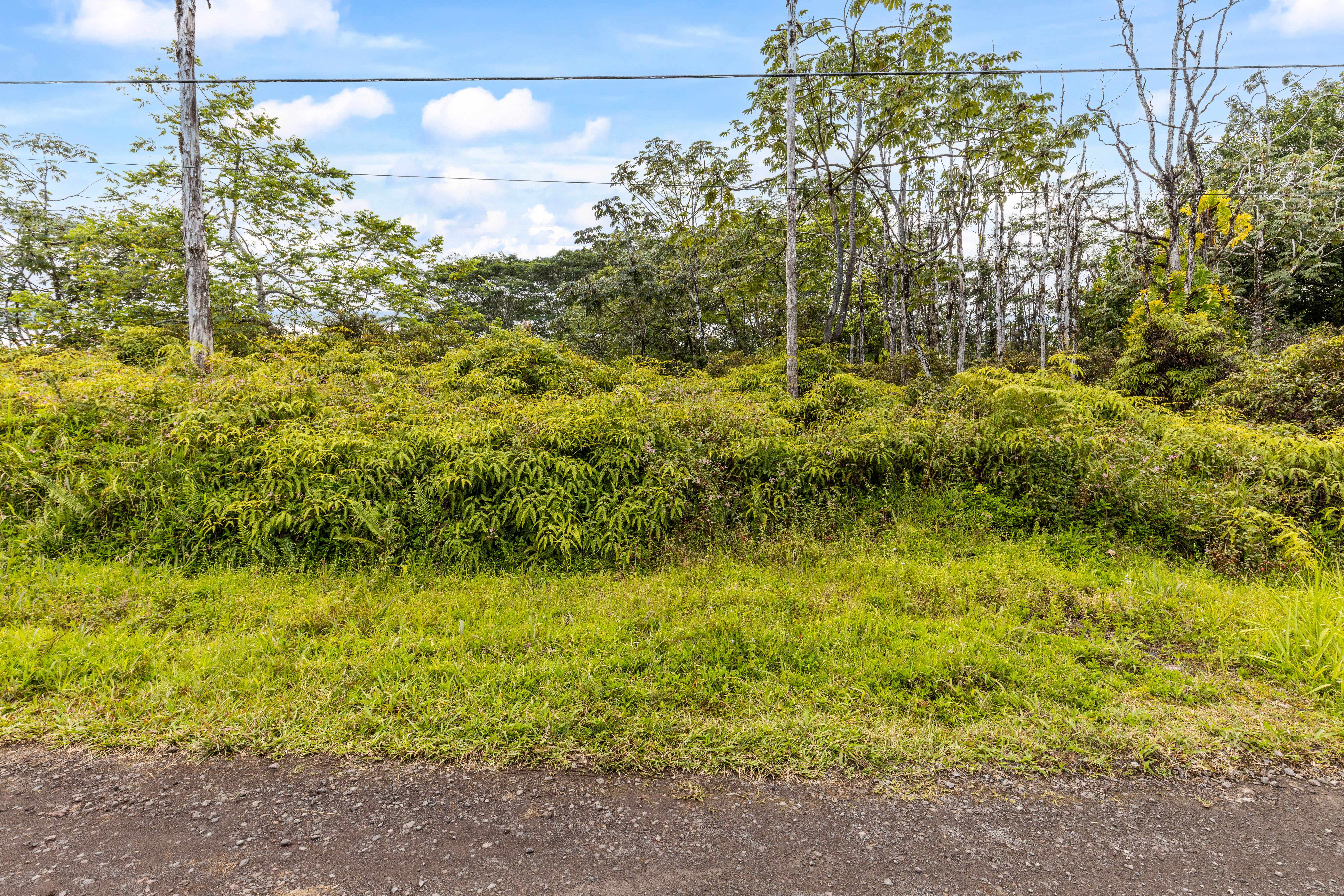 39TH AVE, Kurtistown, HI 96760