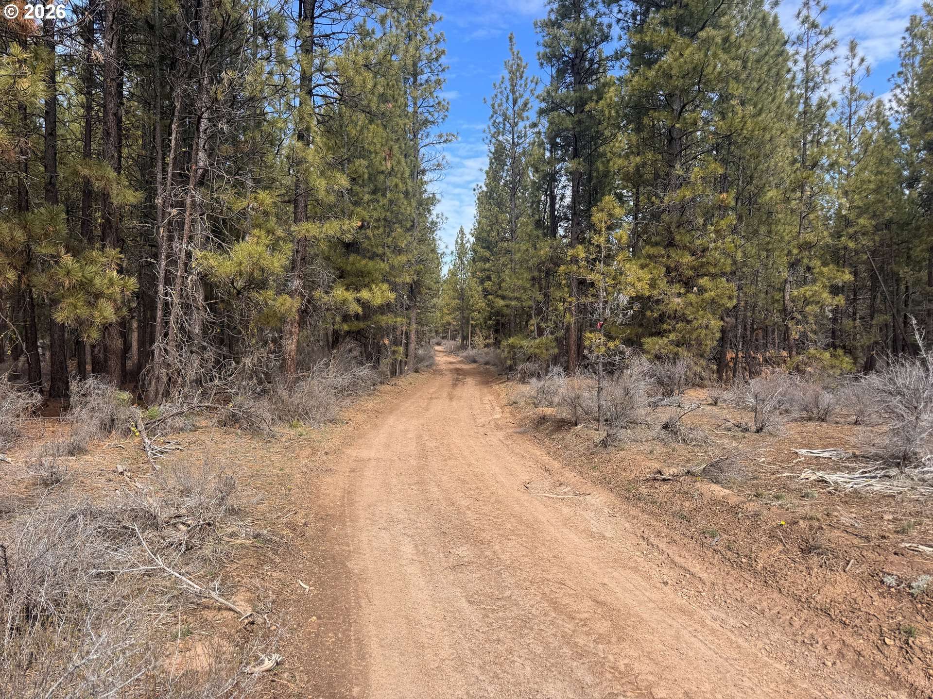 Bliss RD #3610, Sprague River, OR 97639