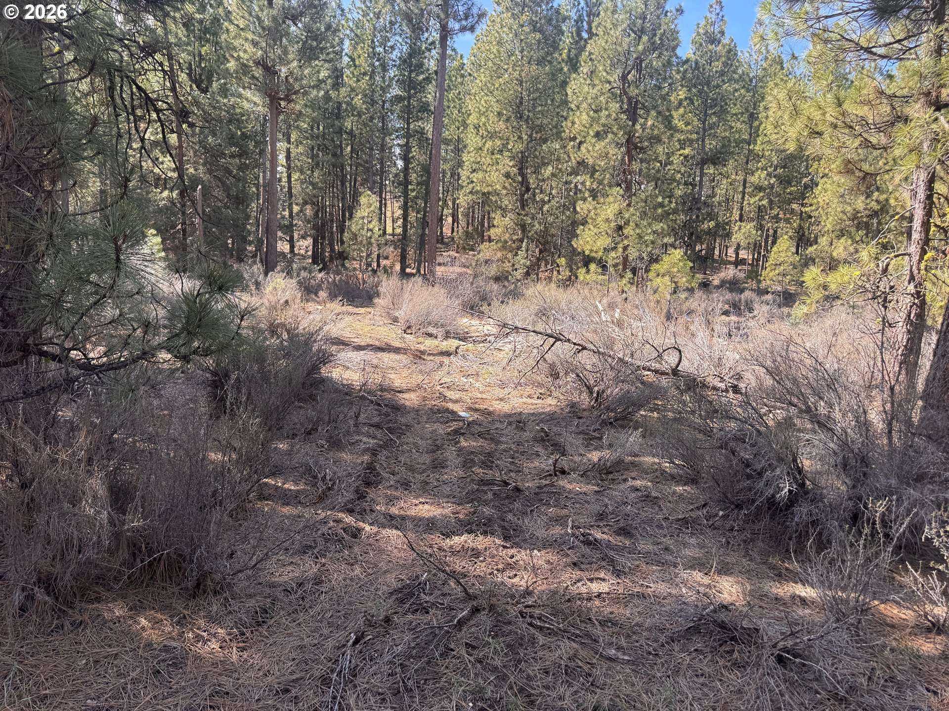 Bliss RD #3610, Sprague River, OR 97639