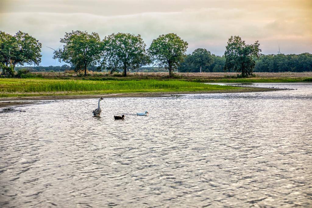 3096 Happy Swaner Lane, Axtell, TX 76624