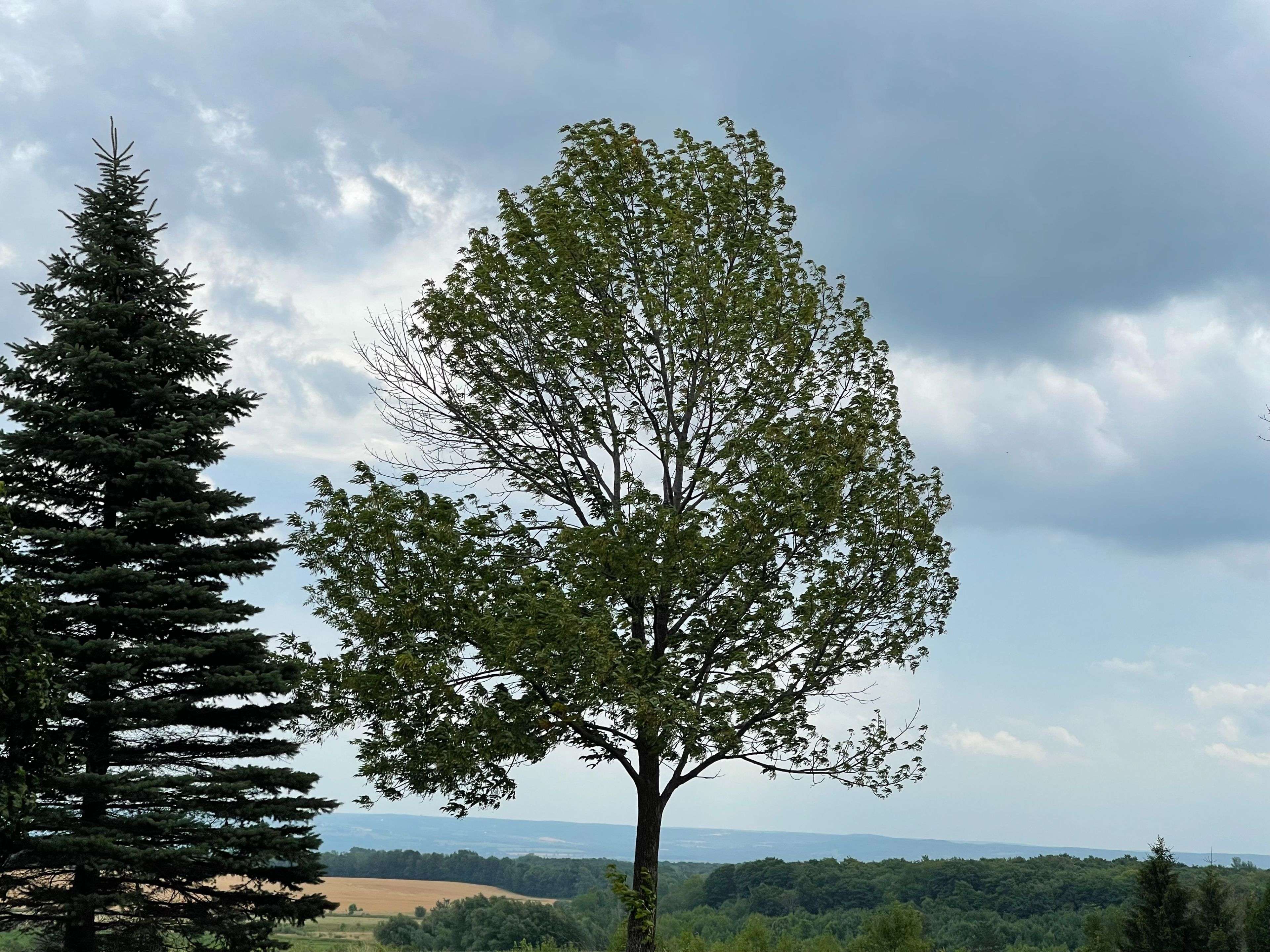 196690 Grey Road 7 RD, Grey Highlands, ON N4L 1W7