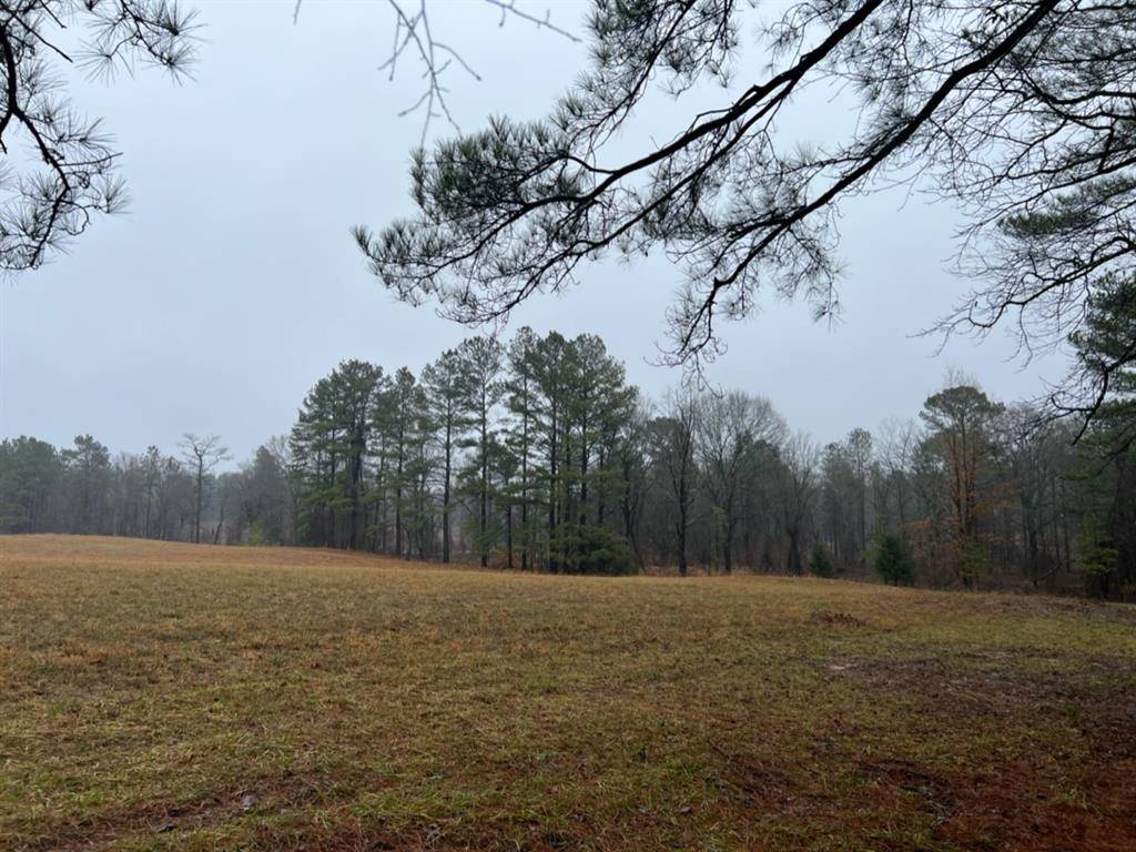 TBD County Road 3121, Clarksville, TX 75426