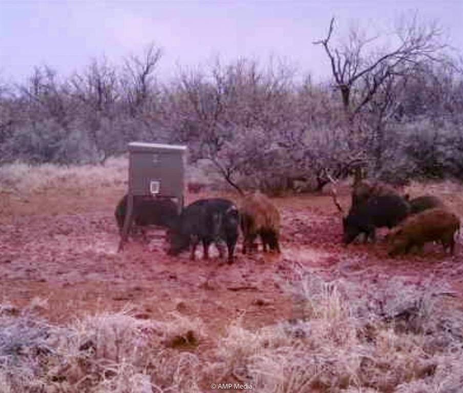 T B D FM 600, Haskell, TX 79521