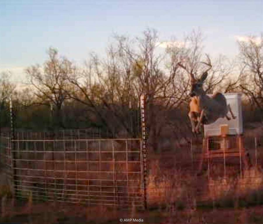 T B D FM 600, Haskell, TX 79521