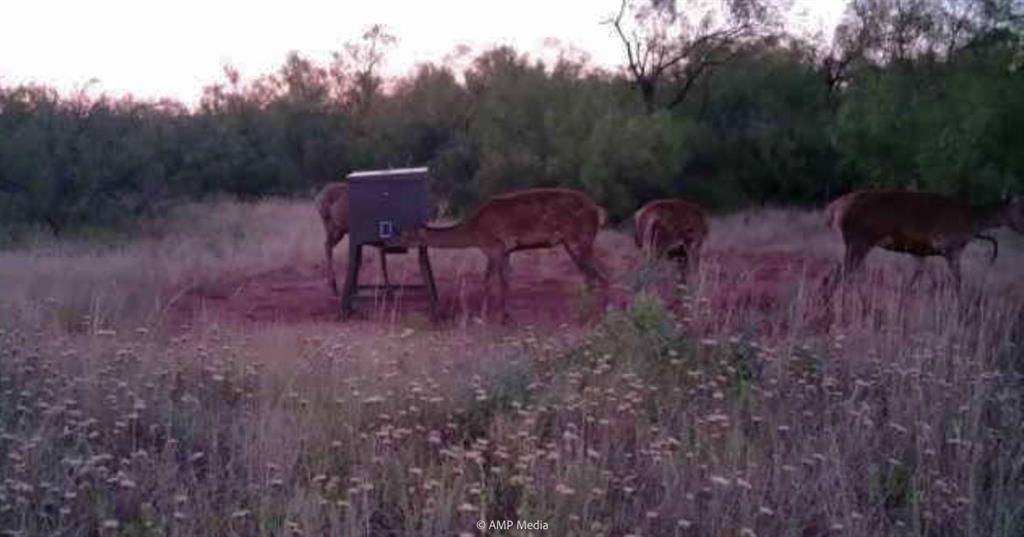 T B D FM 600, Haskell, TX 79521