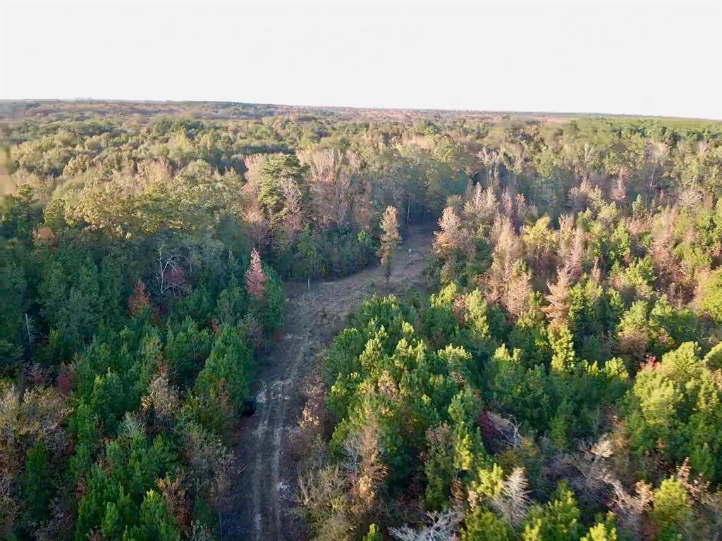 000 Farm To Market 114, Avery, TX 75554