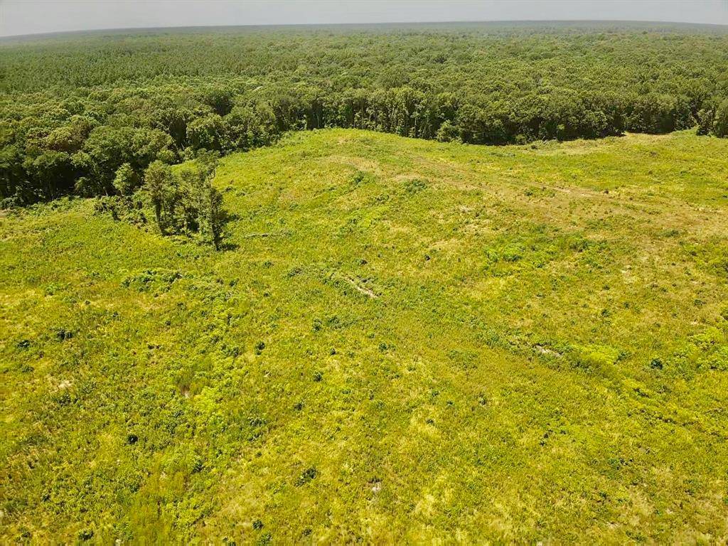 0000 County Road 4307, De Kalb, TX 75559