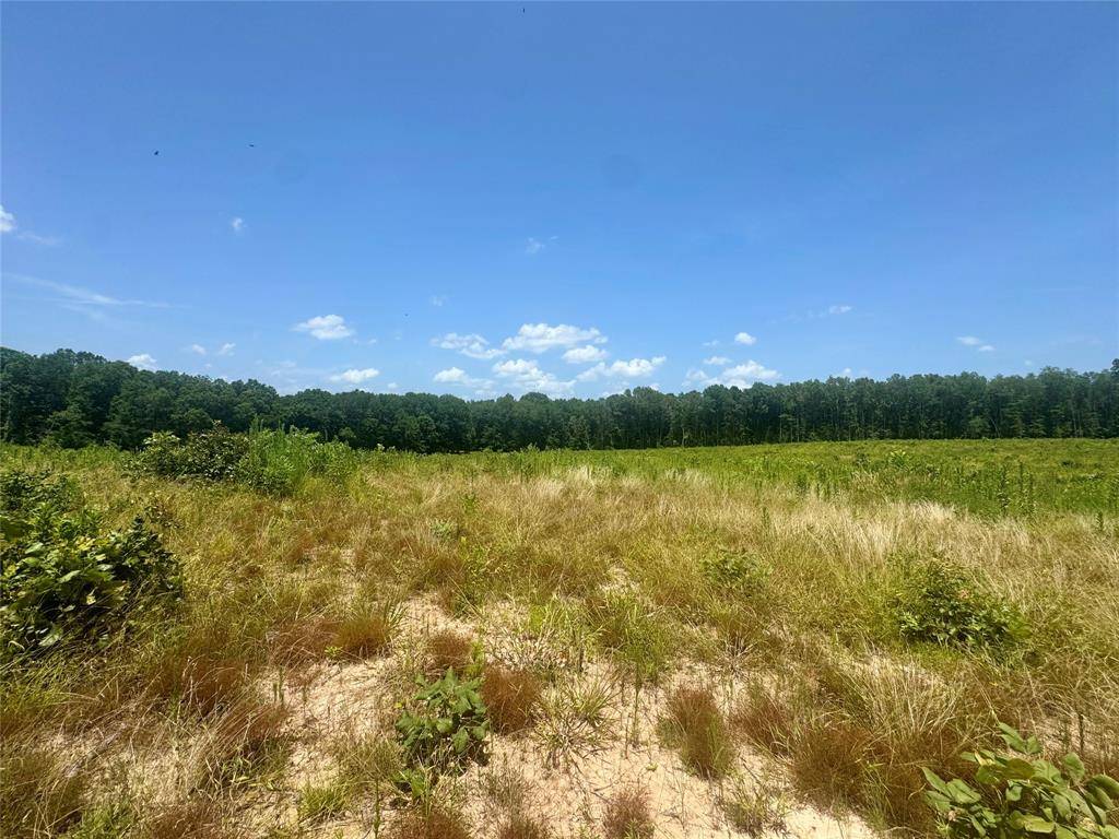 0000 County Road 4307, De Kalb, TX 75559