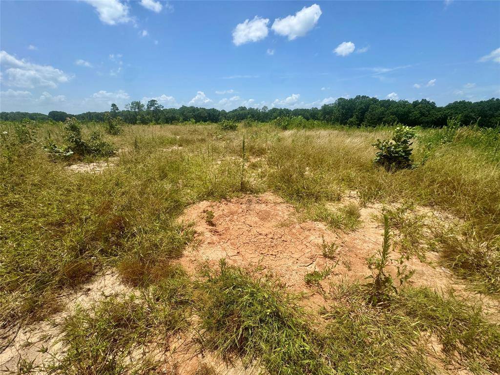 0000 County Road 4307, De Kalb, TX 75559